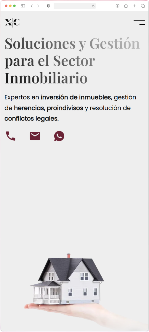 Versión en móvil del proyecto