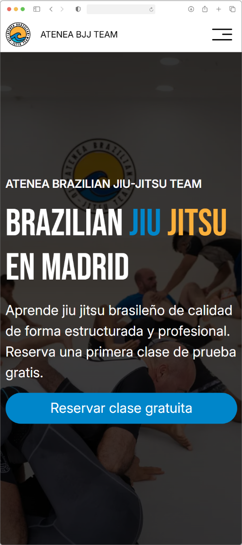 Versión en móvil del proyecto